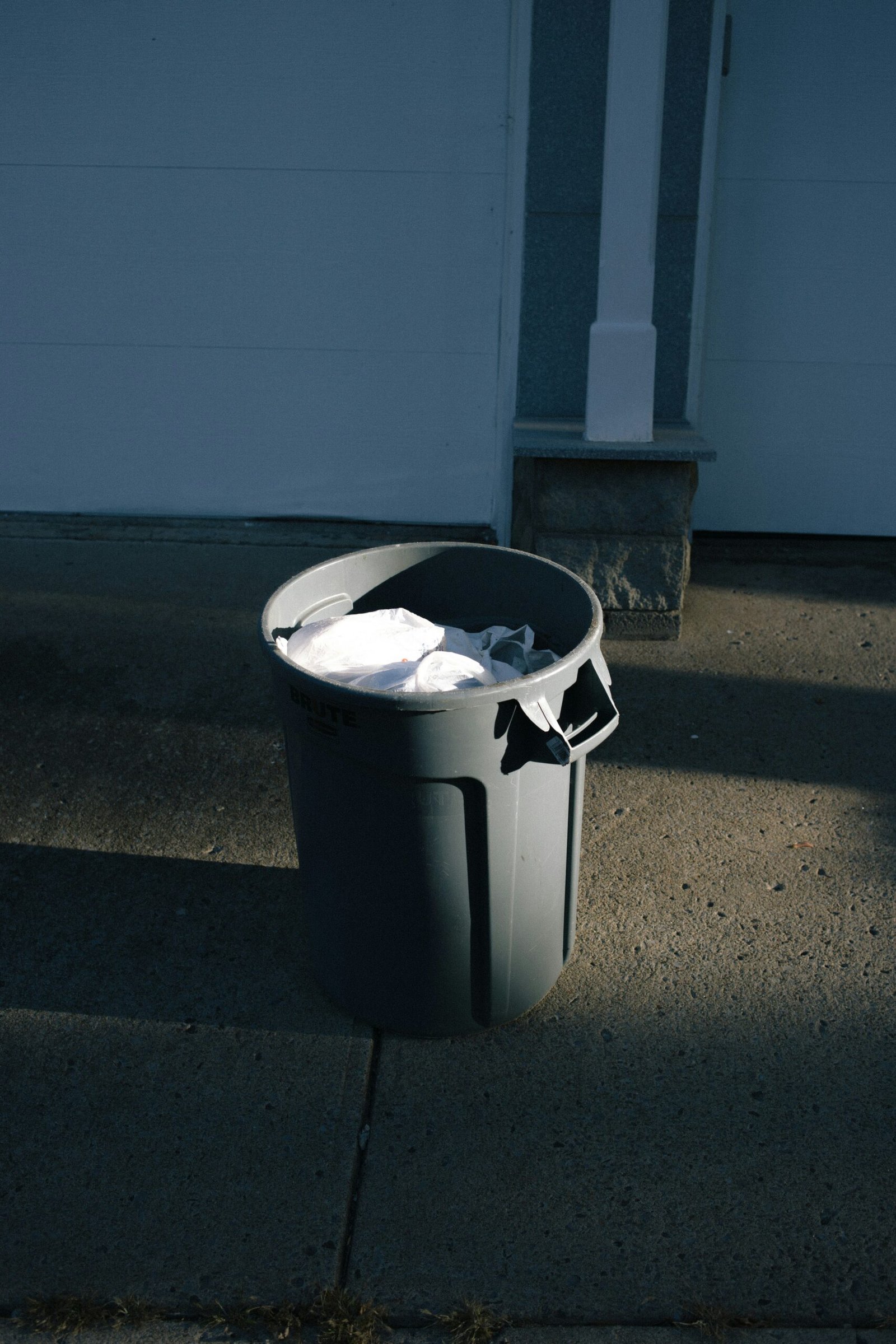 Trash can cleaning